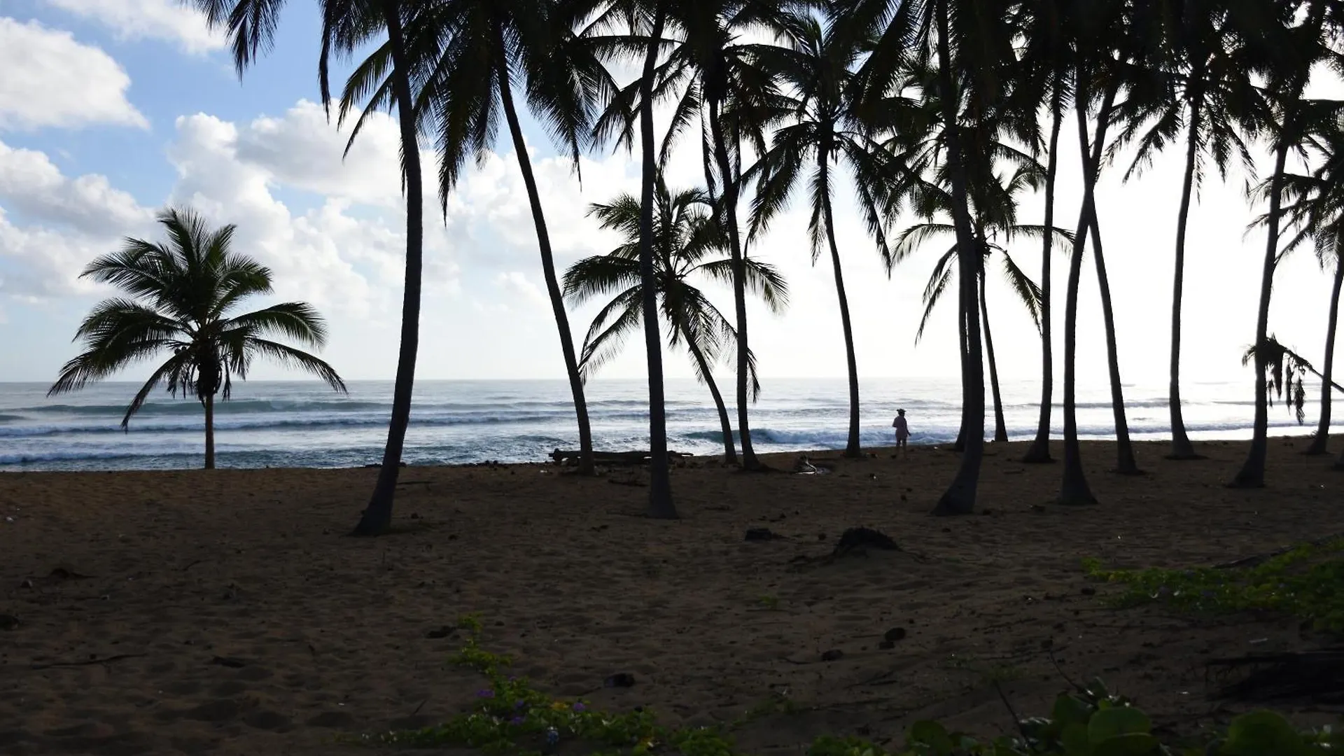 Relax @ Beach, Bibijagua 蓬塔卡纳 多米尼加共和国